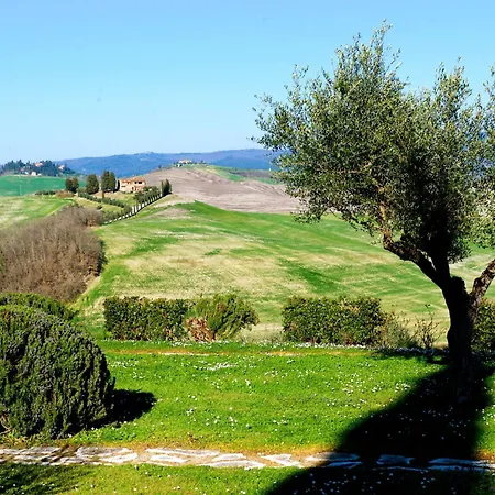 Caliano Asciano